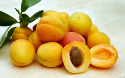 Apricot Kernel Oil